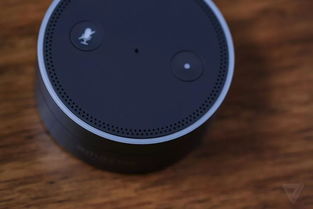 2017年十大電子產(chǎn)品盤點(diǎn) 你猜對(duì)了幾個(gè)？